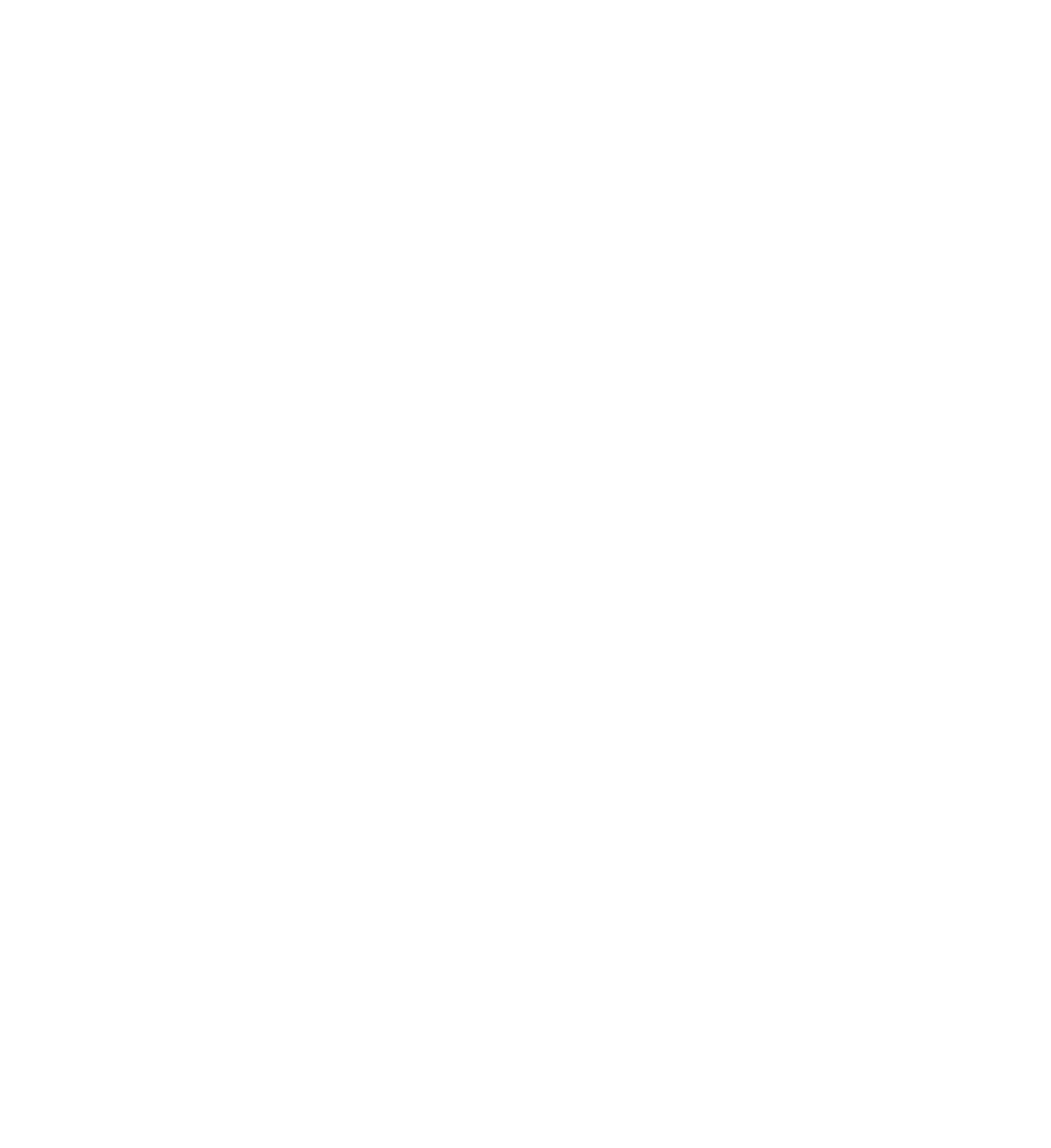 REUNION GRAFFITI